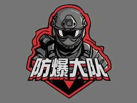 防爆大(da)隊(duì)